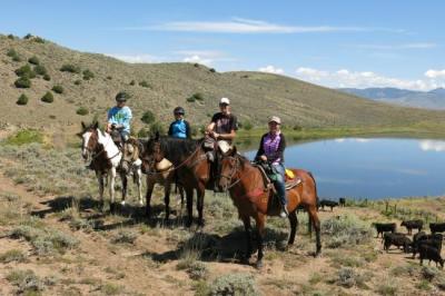Horseback Riding & Tours in Vail / Beaver Creek