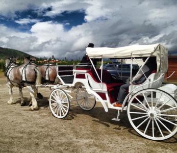 Hayrides & Carriage Rides in Dillon